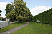 Čeština: Jungmannův park v Českých Budějovicích. English: Jungmnann's Park, České Budějovice, South Bohemia, Czechia.