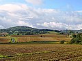 Vue du mont des Récollets depuis Steenvoorde.