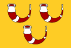Kinrooi vlag.svg