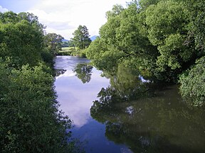 Upė ties Koštianais prie Turjeco