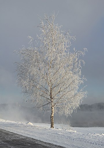 Givre