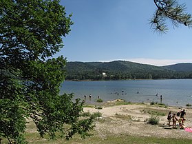 Baignade dans le lac Saint-Ferréol
