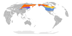 Lanius borealis map.svg