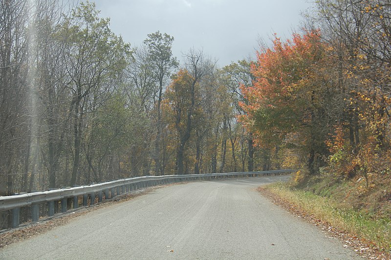 File:Laurel Mountain Summit - panoramio (33).jpg