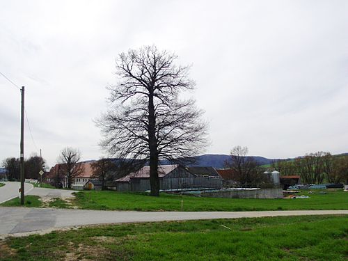 Lengenfeld (Alesheim)