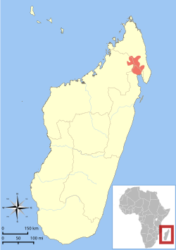 Carte de l'aire de répartition du Lepilemur seal.svg