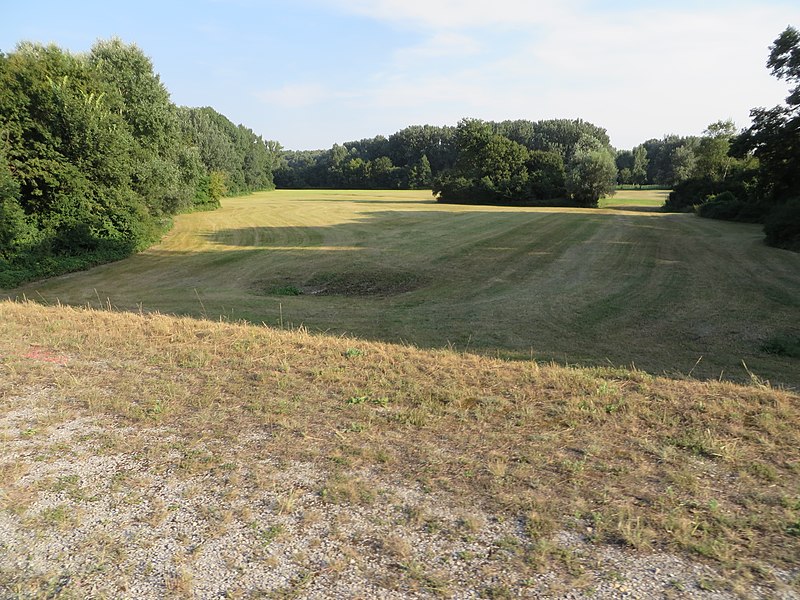 File:Levee field woodland in Nationalpark Donau-Auen Austria.jpg