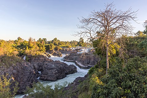 Li Phi falls and leafless tree at sunrise with blue sky in Don Khon Laos