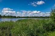 English: Republican biological reserve Liebiadziny. Minsk, Belarus Беларуская: Рэспубліканскі біялагічны заказнік Лебядзіны. Мінск, Беларусь Русский: Республиканский биологический заказник Лебяжий. Минск, Беларусь