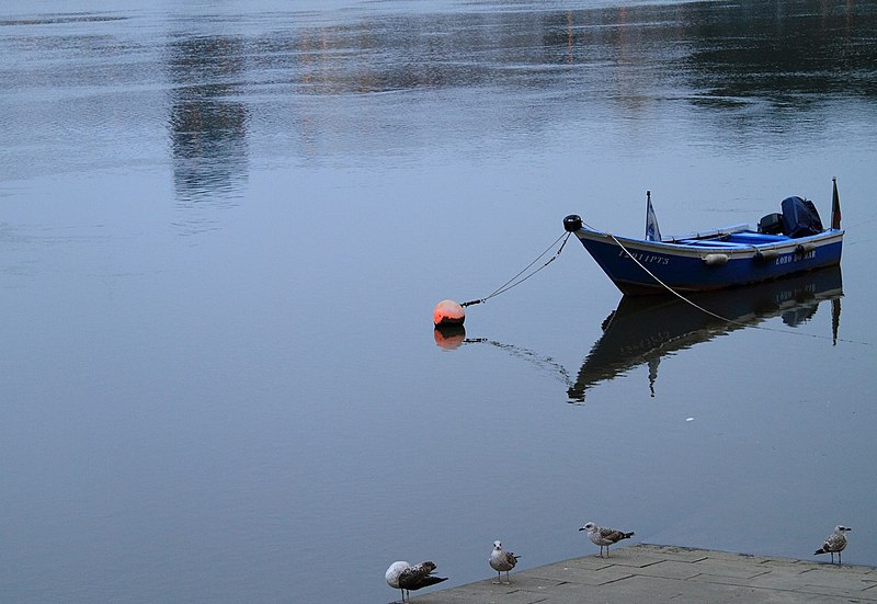 File:Little Boat (4306464292).jpg