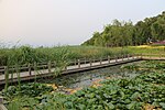 Thumbnail for Lotus Lake Wetland Park