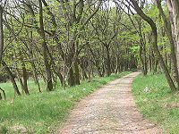 Typische Fläminger weg, hier nabij de Galgenberg