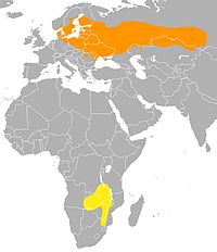 Udbredelse af Luscinia luscinia. Orange: Ynglekvarter , gul: vinterkvarter.