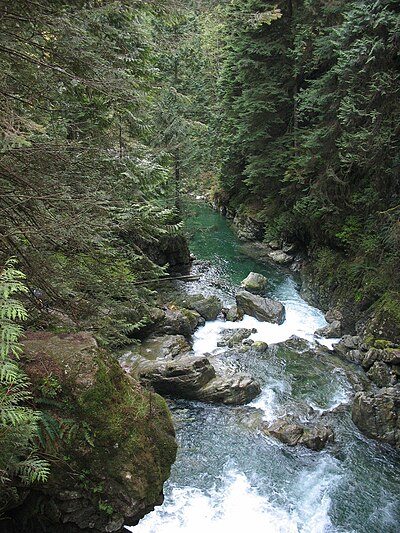 Parque del Cañón Lynn