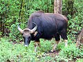 08:57, 18 ജൂൺ 2016-ലെ പതിപ്പിന്റെ ലഘുചിത്രം