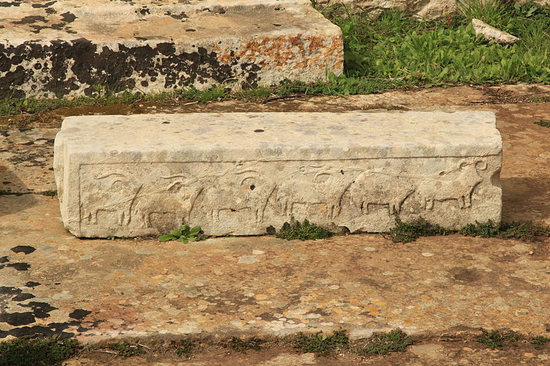 File:Malta - Tarxien - Triq it-Tempji Neolitici - Temples 45 ies.jpg