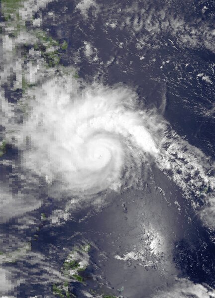 1982 Pacific typhoon season