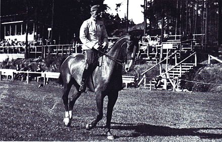 Конное милитари в программе олимпиады 9. Конный спорт на летних Олимпийских играх 1900. Лиз хартел иппотерапия.