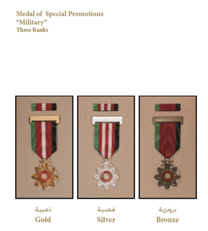 Medal of Special Promotions.png