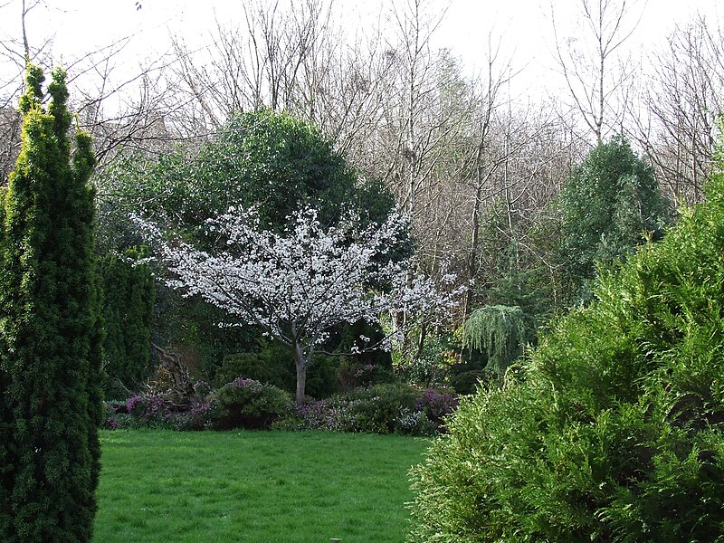 File:Merrion Square spring.jpg