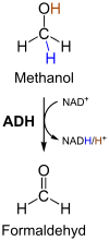 Methanol degradation.svg