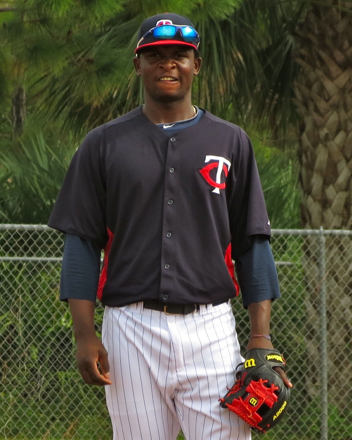 Miguel Sano: From the Dominican Republic to baseball's major leagues