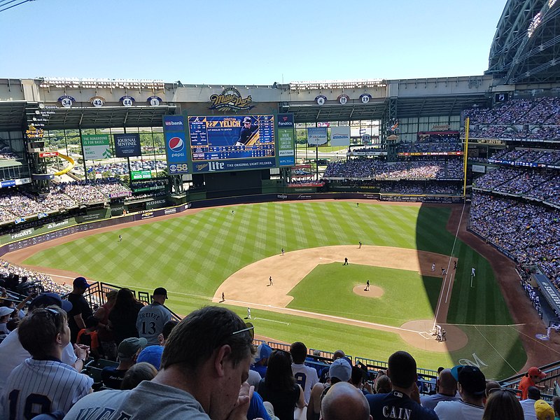 How Hank the stray dog became a hit at Brewers camp