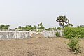 Missionary Cemetery on Topo Island.jpg