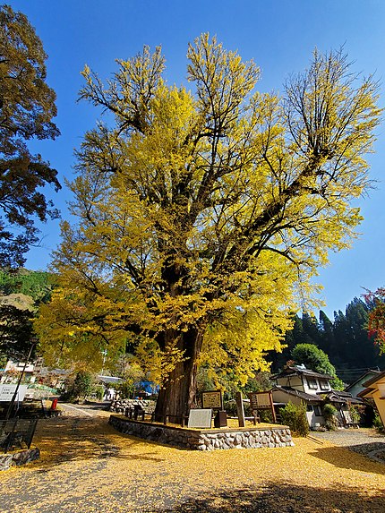 五木村の有名地