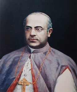 Mons. Francesco Niola.jpg