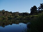 Mountain Lake Park (San Francisco)