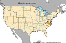 Mapa rozsahu Moxostoma cervinum.png