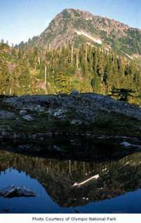 <span class="mw-page-title-main">Muncaster Mountain</span> Mountain in Washington (state), United States