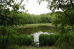 Clarification ponds in Fohnsdorf