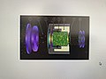 NSI (Night Sensor light Intensifiers) Technology Design .jpg