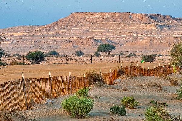 Fenced-off area of Jebel Nakhsh in southern Qatar.