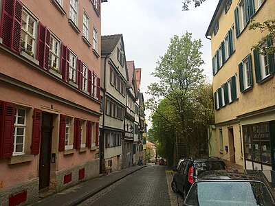 Neckarhalde Tübingen ab Nr. 7 nach unten.jpg