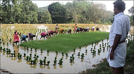 ಕುಪ್ಪೆಪದವು