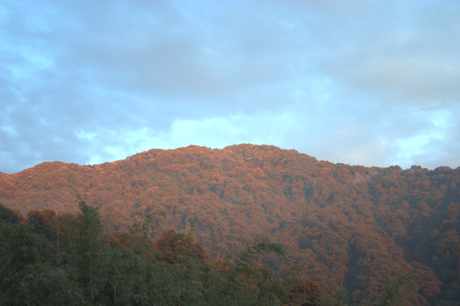 Parque nacional del Valle del Neora