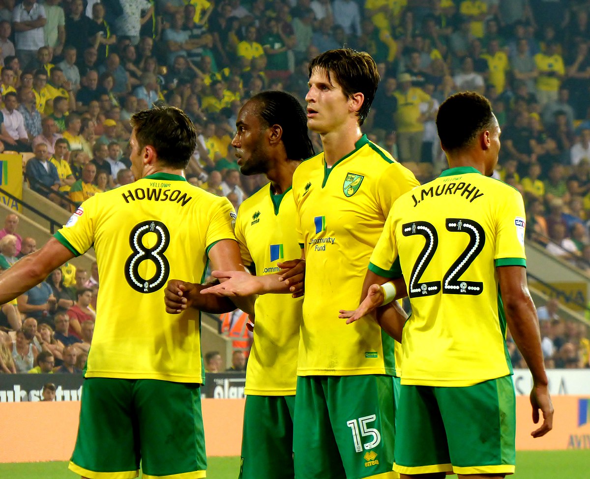 Image result for norwich city