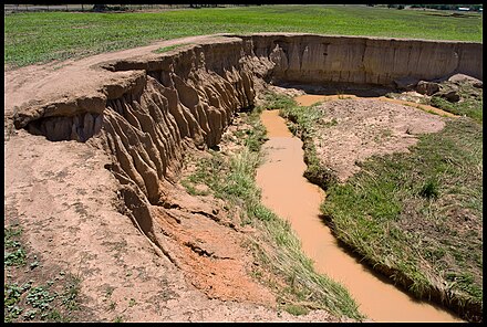 An example of drastic soil erosion as a result of agriculture.
