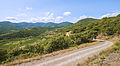 * Nomination Orb Valley, Roquebrun, Hérault --Christian Ferrer 05:43, 26 August 2013 (UTC) * Promotion Good quality. --Ralf Roletschek 07:51, 26 August 2013 (UTC)