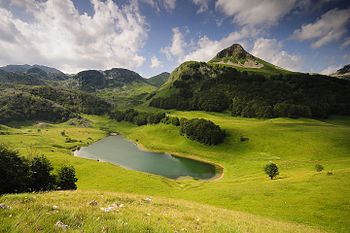 Orlovačko jezero