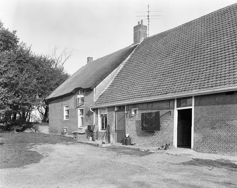 File:Overzicht zijgevel rietgedekte boerderij met schuur - Hoek van Holland - 20397138 - RCE.jpg