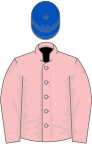 Rosa, königsblaue Kappe