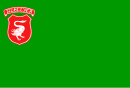 Rzeczycas flag