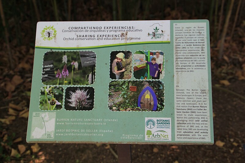 File:Panell divulgatiu col.laboració amb Burren Nature Sanctuary in Kinvara, Co. Galway.jpg