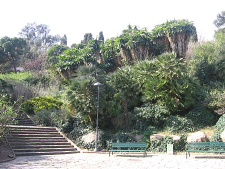 Parc del Putget