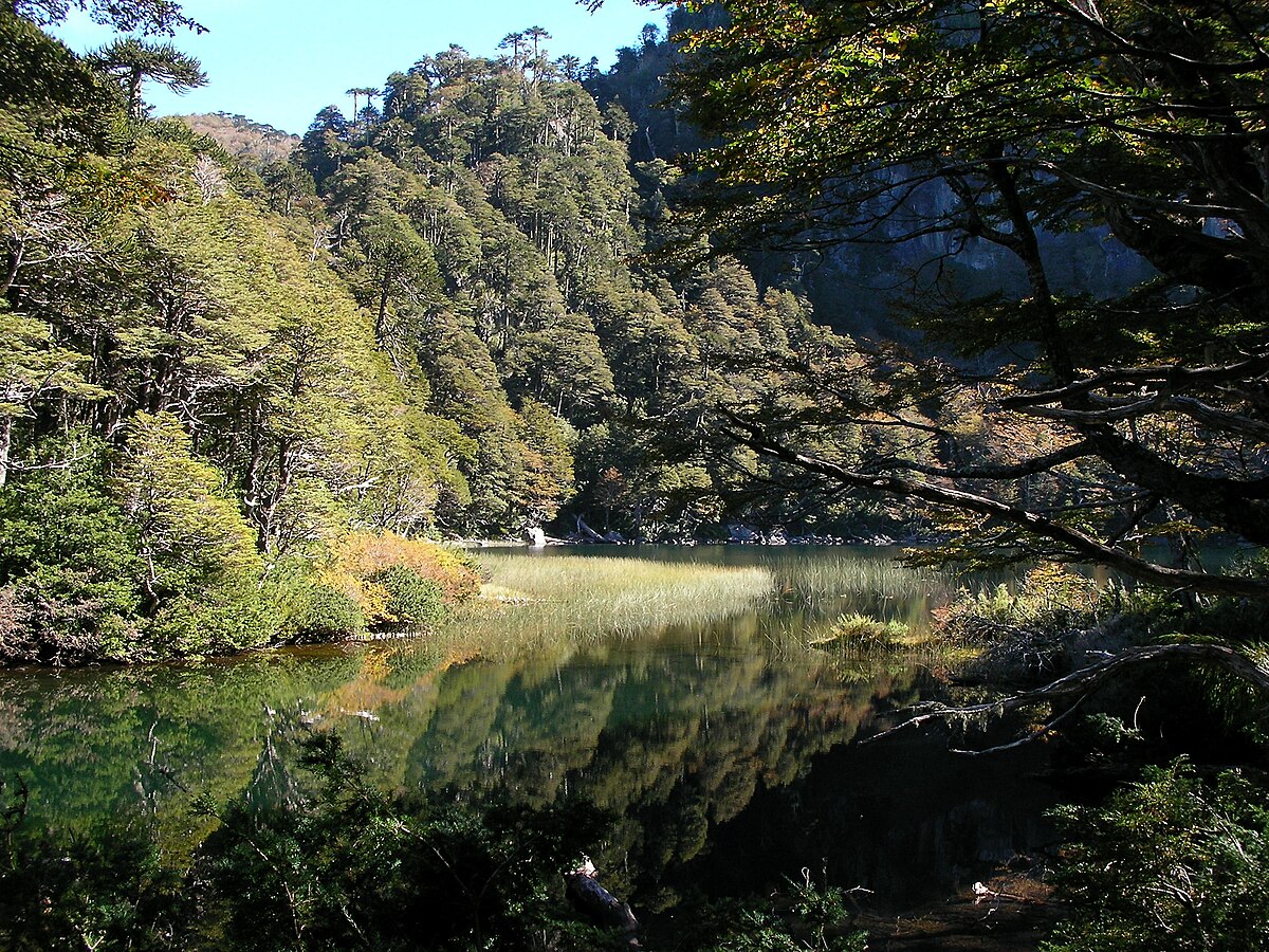 Huerquehue National Park