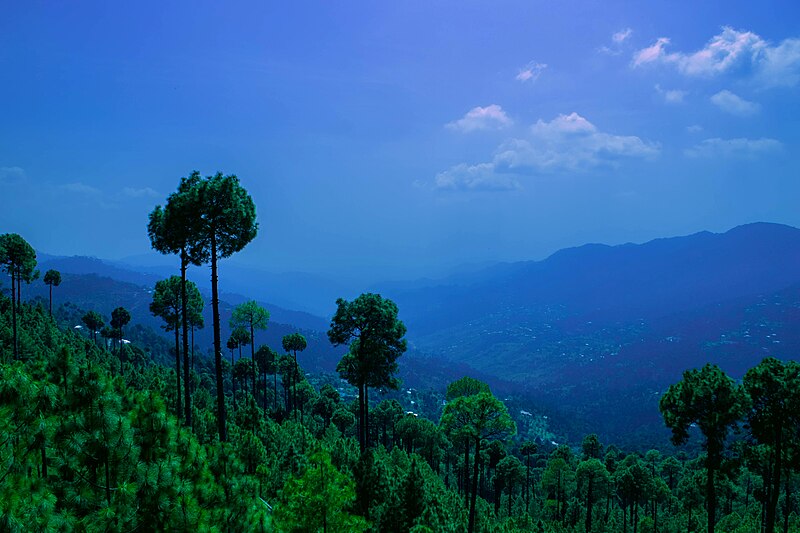 File:Patriata,Murree, Pakistan.jpg